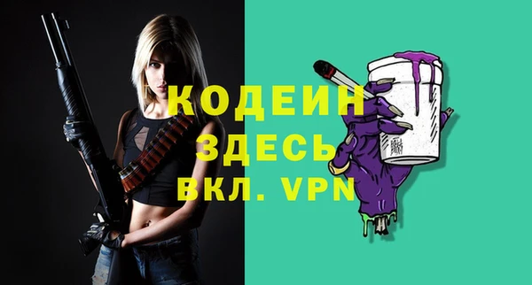 сатива Беслан