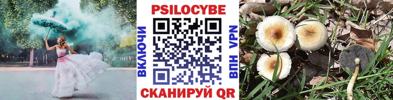 купить наркотики цена  Урюпинск  Псилоцибиновые грибы Psilocybine cubensis 