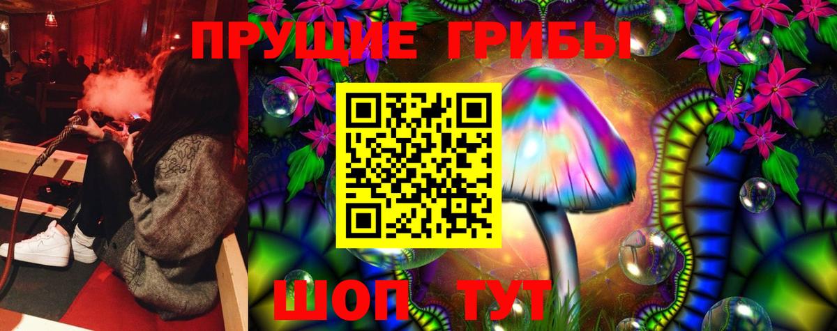 Галлюциногенные грибы Psilocybe  Урюпинск  Псилоцибиновые грибы Cubensis 