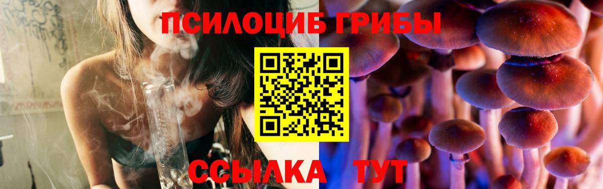 Галлюциногенные грибы Psilocybine cubensis  Галлюциногенные грибы ЛСД  Вход с VPN  Урюпинск 